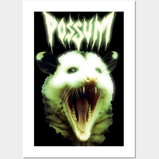 Possum Posters and Art